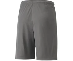 Puma teamLIGA Šortai Jauniems 704931 13