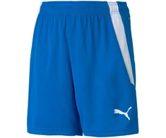 Puma teamLIGA Šortai Jr 704931 02