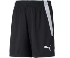 Puma teamLIGA Šortai Jr 704931 03