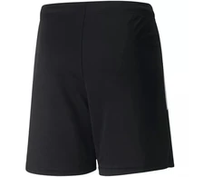 Puma teamLIGA Šortai Jr 704931 03