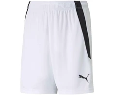 Puma teamLIGA Šortai Jr 704931 04