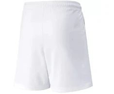 Puma teamLIGA Šortai Jr 704931 04
