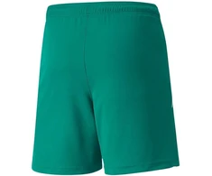 Puma teamLIGA Šortai Jr 704931 05
