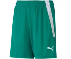 Puma teamLIGA Šortai Jr 704931 05