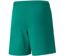 Puma teamLIGA Šortai Jr 704931 05