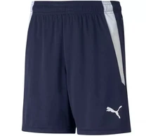 Puma teamLIGA Šortai Jr 704931 06