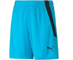 Puma teamLIGA Šortai Jr 704931 40