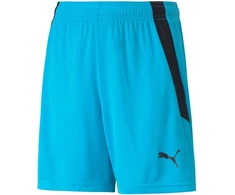 Puma teamLIGA Šortai Jr 704931 40