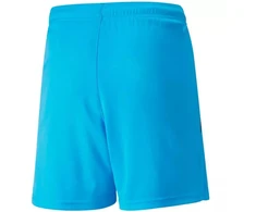 Puma teamLIGA Šortai Jr 704931 40