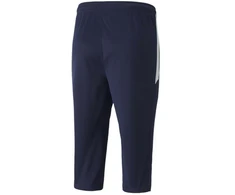 Puma teamLiga treniruočių 3/4 ilgio kelnės M 657271 06
