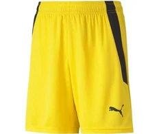 Puma teamLIGA Vaikiški Šortai 704931 07