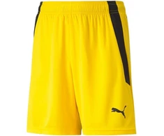 Puma teamLIGA Vaikiški Šortai 704931 07