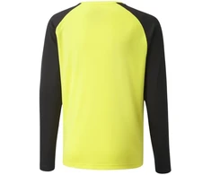 Puma teamPacer GK LS Jersey Jr 704939 42