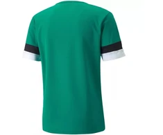 Puma teamRise marškinėliai M 704932 05