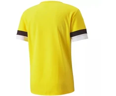 Puma teamRise marškinėliai M 704932 07