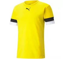 Puma teamRise marškinėliai M 704932 07