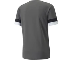 Puma teamRISE Smoked marškinėliai M 704932 13