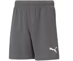 Puma teamRise Šortai Jaun. 704943 13