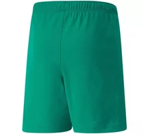 Puma teamRISE šortai jaunesniems (704943 05)