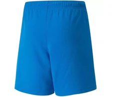 Puma teamRISE šortai, jaunimo, 704943 02