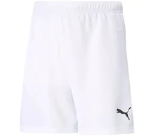 Puma teamRISE Šortai Jr 704943 03