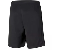 Puma teamRISE šortai M 657336 03