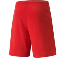 Puma teamRISE šortai M 704942 01