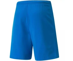 Puma teamRISE Šortai M 704942 02