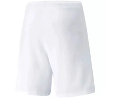 Puma teamRISE Šortai M 704942 03
