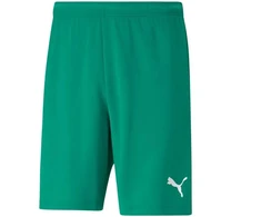 Puma teamRISE Šortai M 704942 05