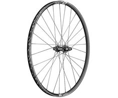 Ratas galinis 29" DT Swiss XR1700 Spline 12 x 148 mm