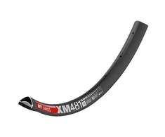 Ratlankis DT Swiss 29" XM 481