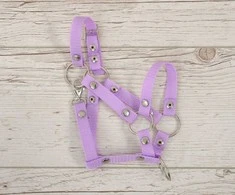 Reguliuojamas kantaras hobi arkliukui A3 violetinis