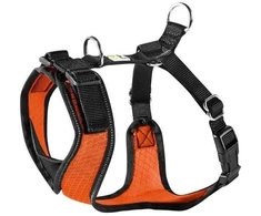 S Petnešos šunims Hunter H92731