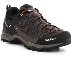 Salewa Mtn Trainer Lite GTX M 61361-7512 trekingo batai