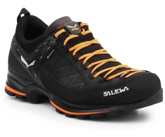 Salewa Vyriški batai MTN Trainer 2 GTX M 61356-0933