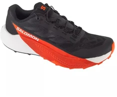 Salomon Pulsar L47975400 Juoda 41 1/3