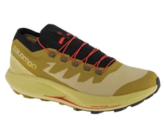 Salomon Pulsar Trail-Pro M 415936 avalynė