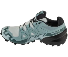 Salomon Speedcross 6 GTX W Mėlyna L47880100 38