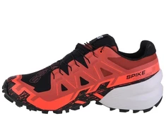Salomon Spikecross 6 GTX M 472707 vyriški bėgimo bateliai