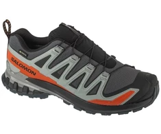 Salomon XA Pro 3D v9 GTX L47817500 Pilka 40