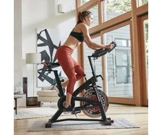 Schwinn IC7 100737 Stacionarus dviratis
