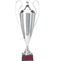 Sidabrinė metalinė taurė TD 1042-N/A