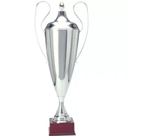 Sidabrinė metalinė taurė TD 1042-N/A