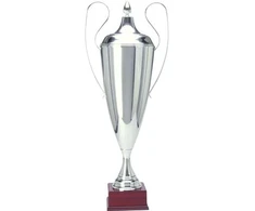 Sidabrinė metalinė taurė TD 1042-N/A