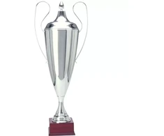 Sidabrinė metalinė taurė TD 1042-N/C