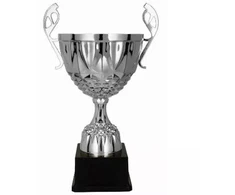 sidabrinė metalo taurė MUFAS