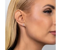 Sidabriniai auskarai Twin