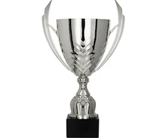 Sidabrinis metalinis puodelis