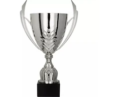 Sidabrinis metalinis puodelis